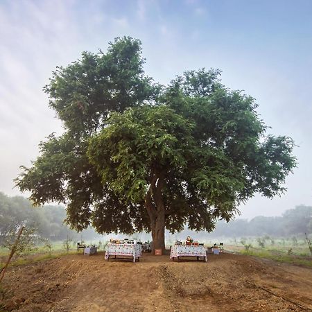 Mela Kothi - The Chambal Safari Lodge Bah Экстерьер фото
