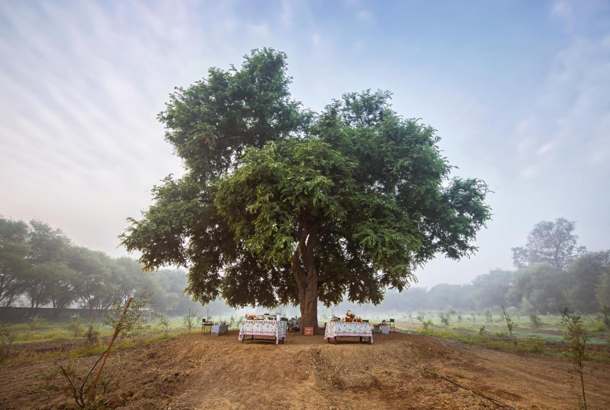 Mela Kothi - The Chambal Safari Lodge Bah Экстерьер фото