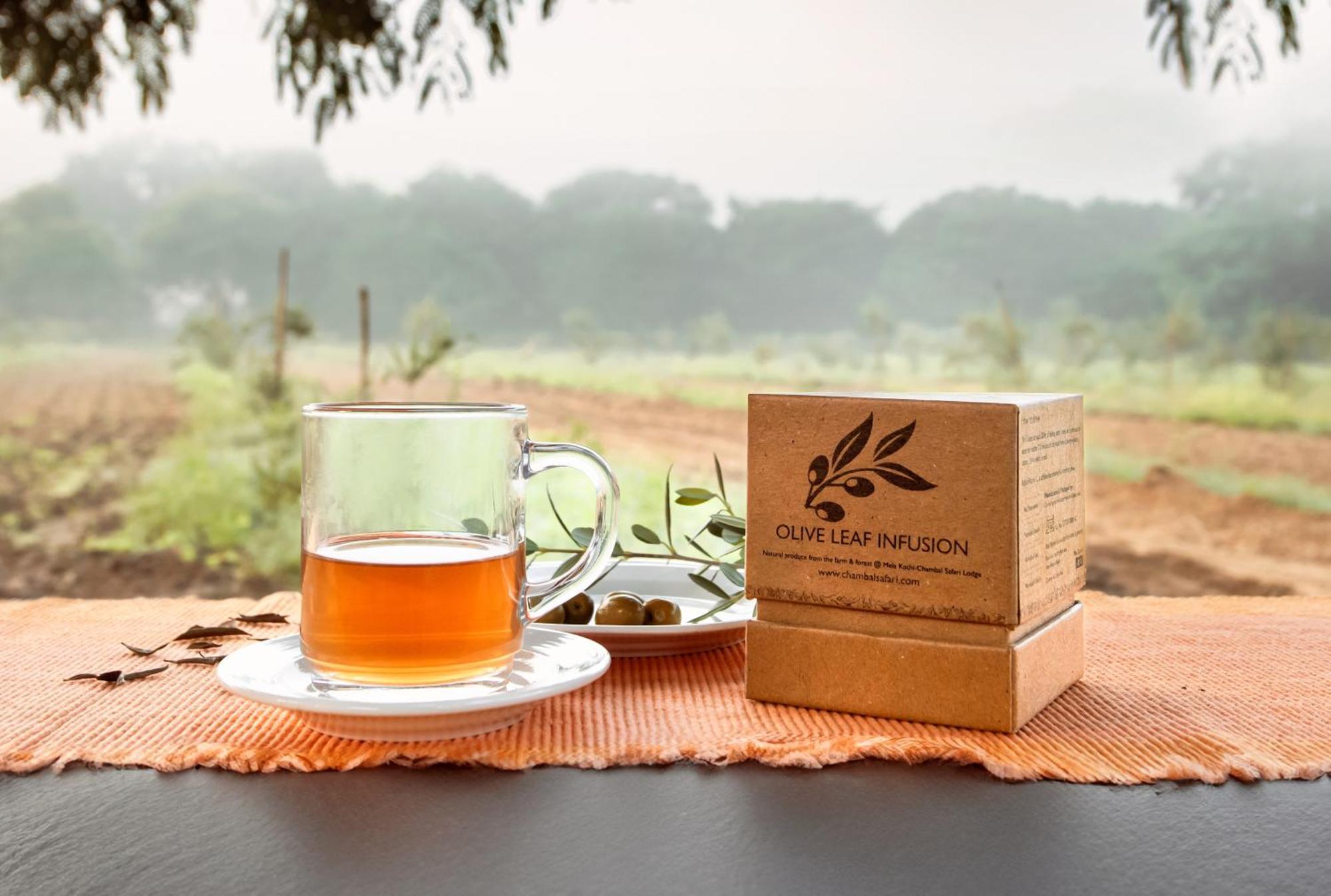 Mela Kothi - The Chambal Safari Lodge Bah Экстерьер фото